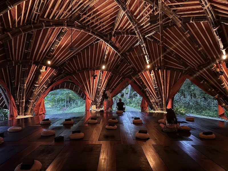 Alchemy Yoga and Meditation Center photo 4