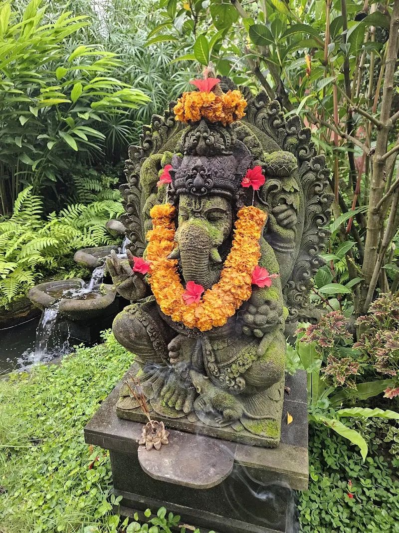 Alchemy Yoga and Meditation Center photo 5