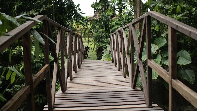 Chandra Yoga Bali photo 5